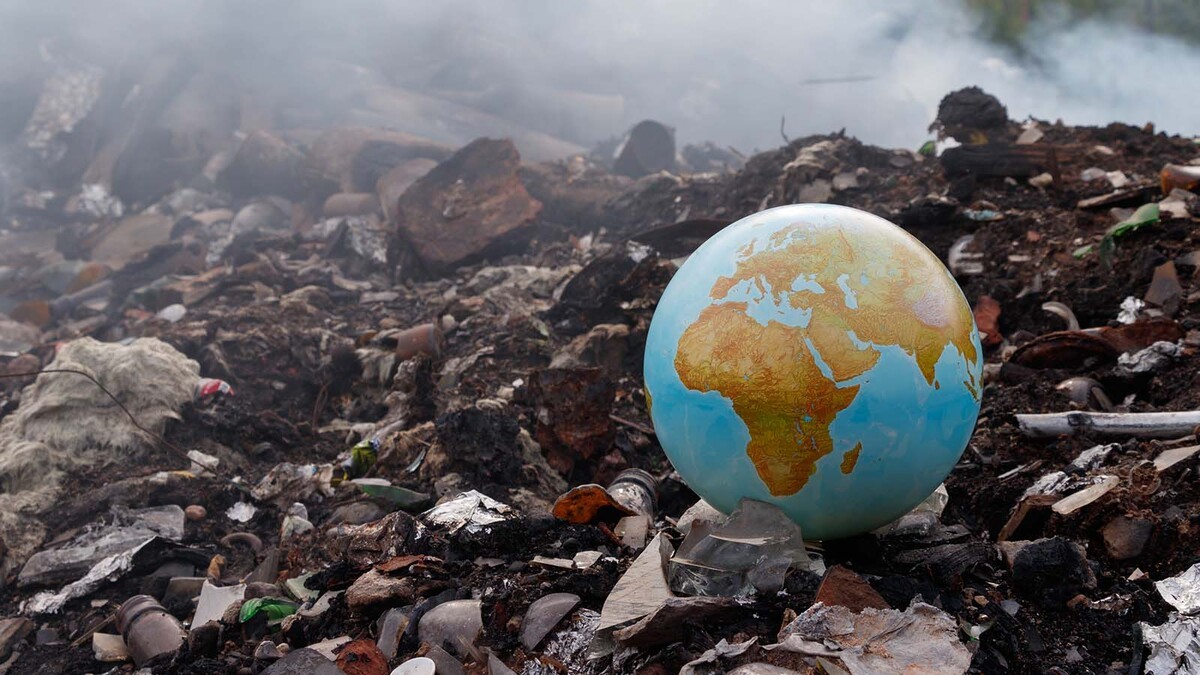 Причины и виды глобальных экологических проблем