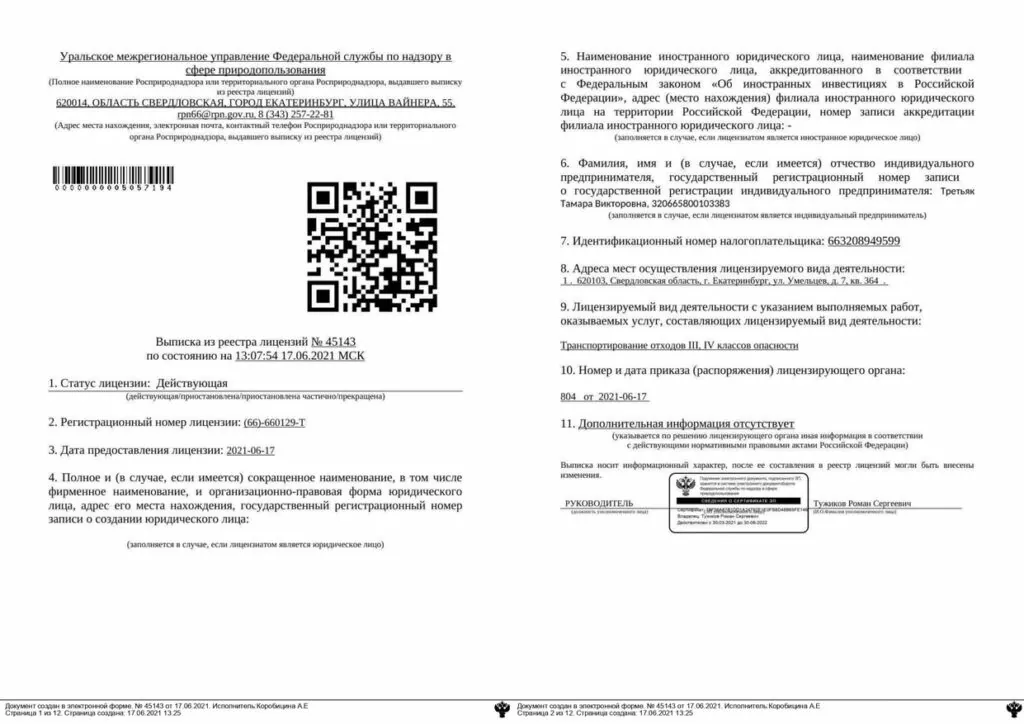 Выписка ИП Третьяк